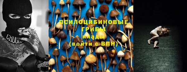 бошки Зеленодольск